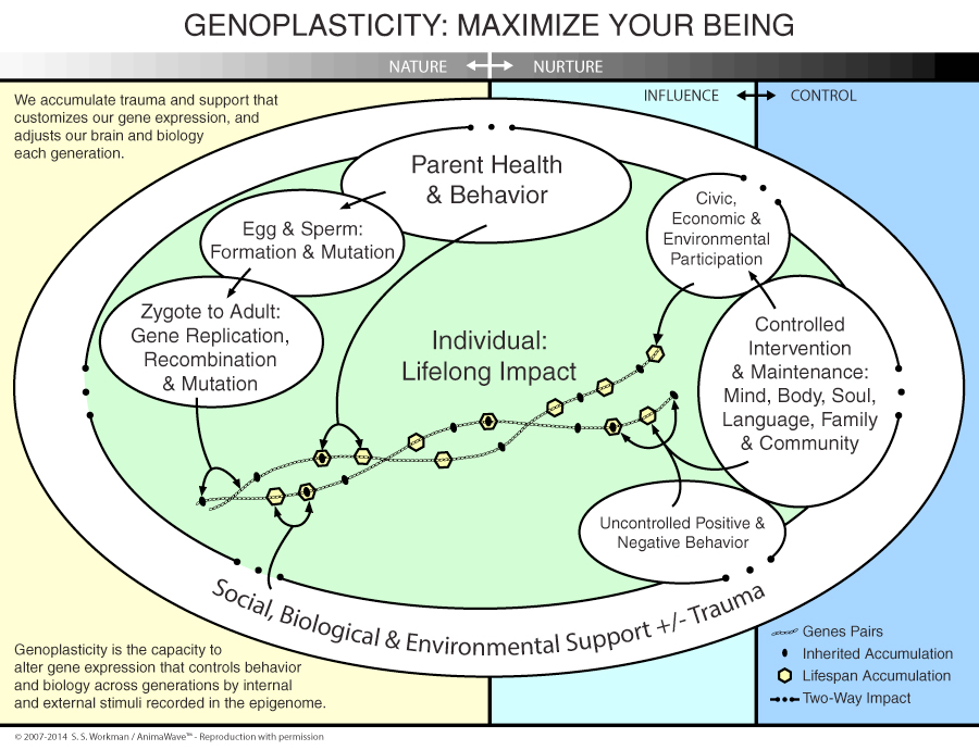 Genoplasticity: Maximize Your Being